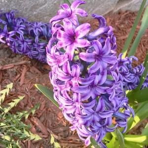 Meet your Posher, Beverly